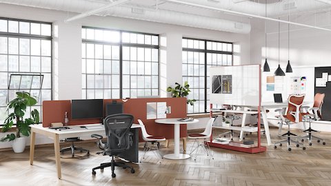 Byne System, with Sylvain Leg and universal middle leg in PET, plus frameless suspended and desk-up screens for privacy.