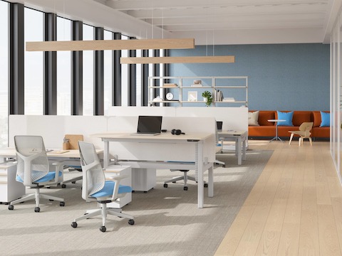 Nevi Sit-to-Stand Desks in a back-to-back configuration with Verus Chairs.